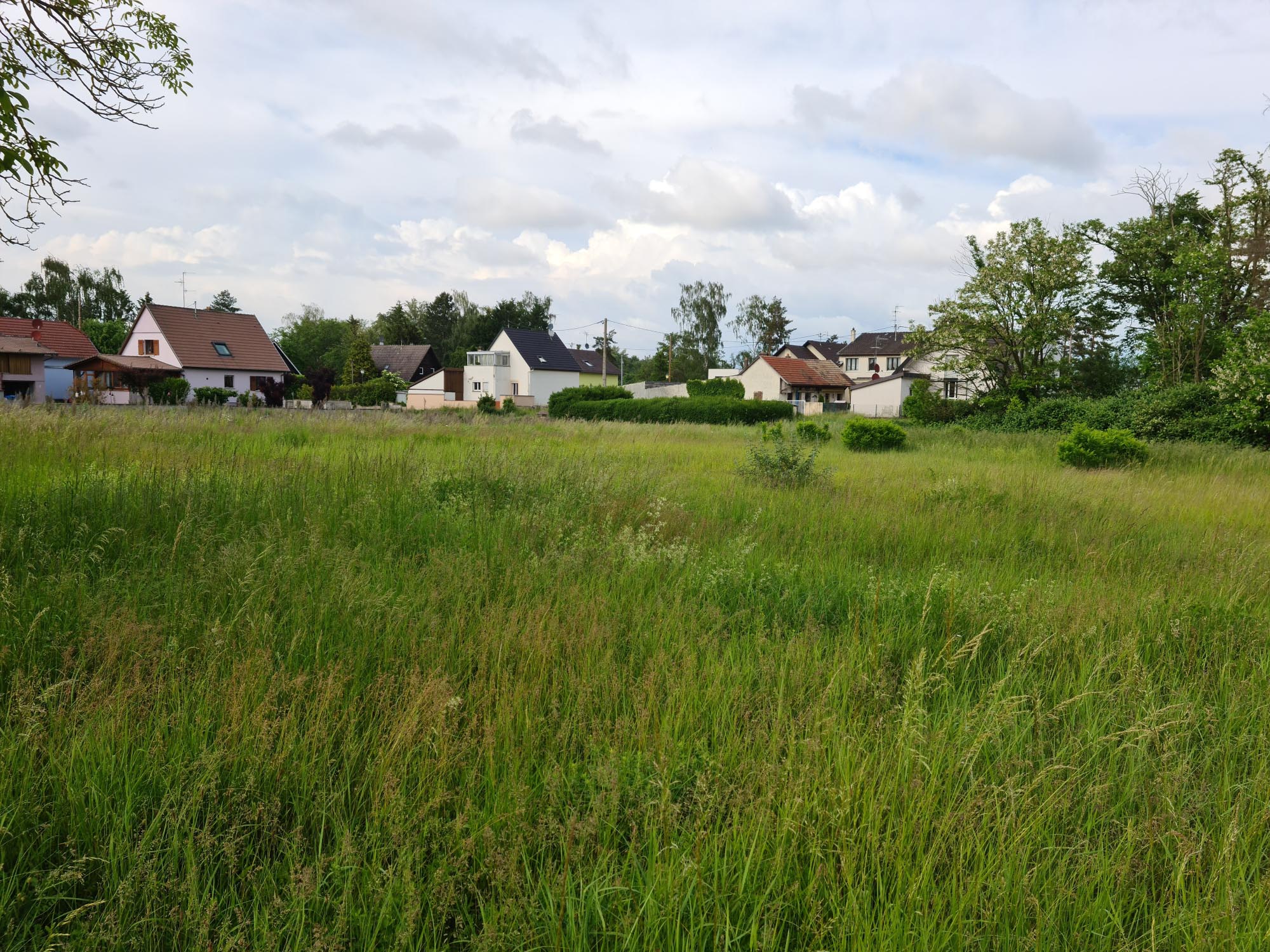 comment_bien_choisir_son_terrain