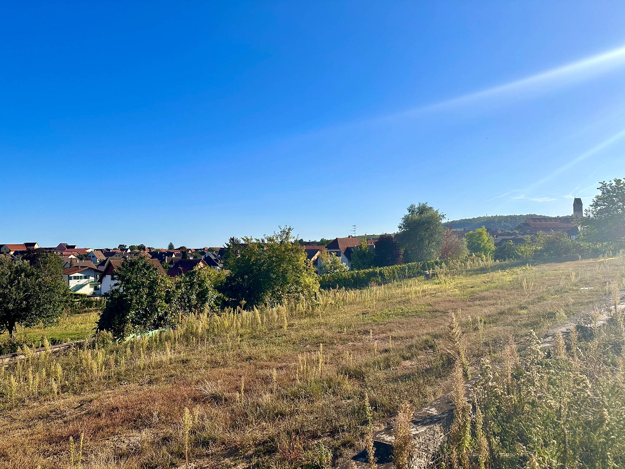 terrain_pfaffenheim