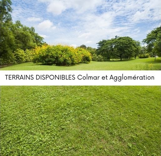 Terrains dans le Haut-Rhin - 3