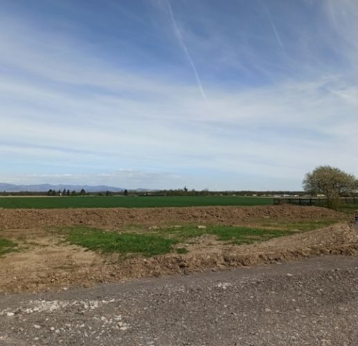 Terrains dans le Haut-Rhin - 2