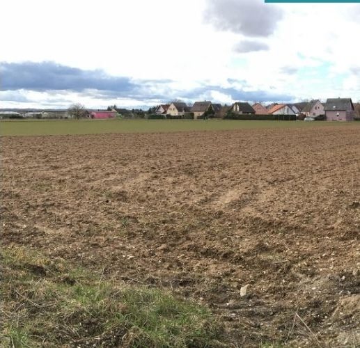 Terrains dans le Haut-Rhin - 2