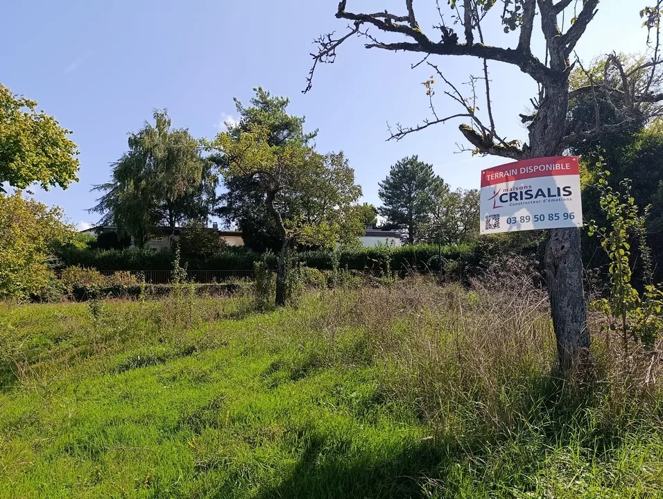 Terrain constructible arboré à Riedisheim, dans le Haut-Rhin, avec un panneau Maisons Crisalis.
